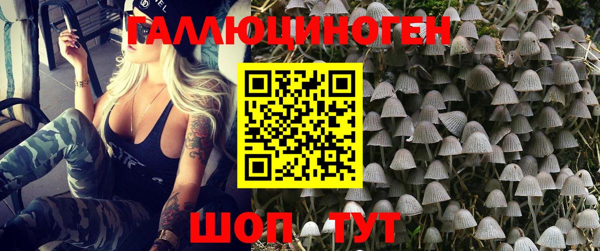 Старая Купавна  Галлюциногенные грибы MAGIC MUSHROOMS  Вход с VPN 